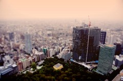 都庁展望台より