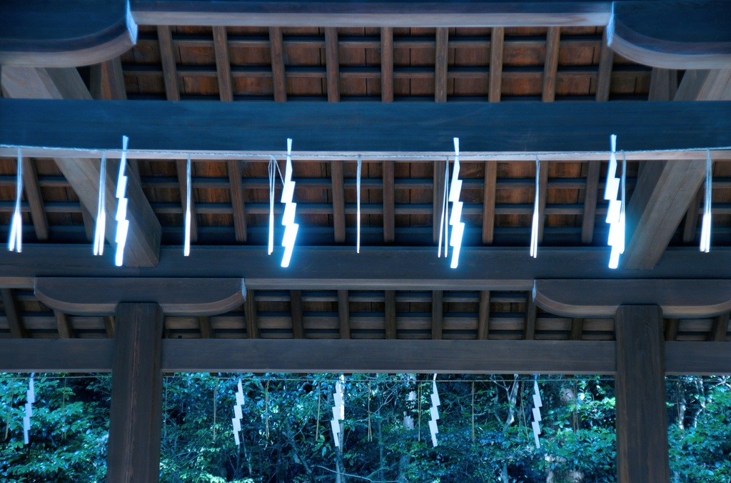 光るもの、それは？