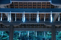 光るもの、それは？