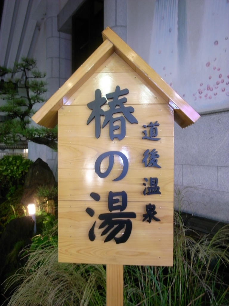 道後温泉　椿の湯