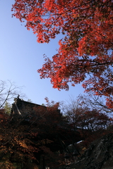 修禅寺に行ってきました①