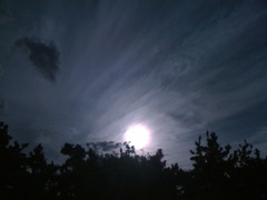この空・・太陽