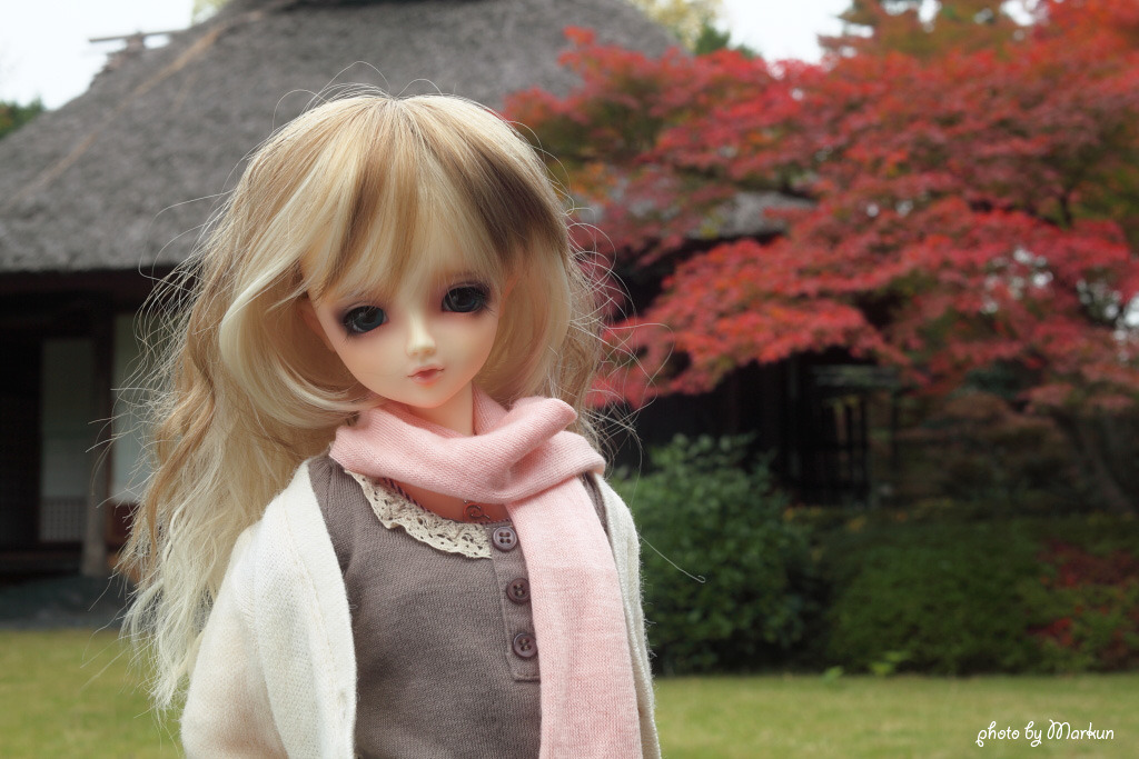 霞中庵と紅葉と梓月