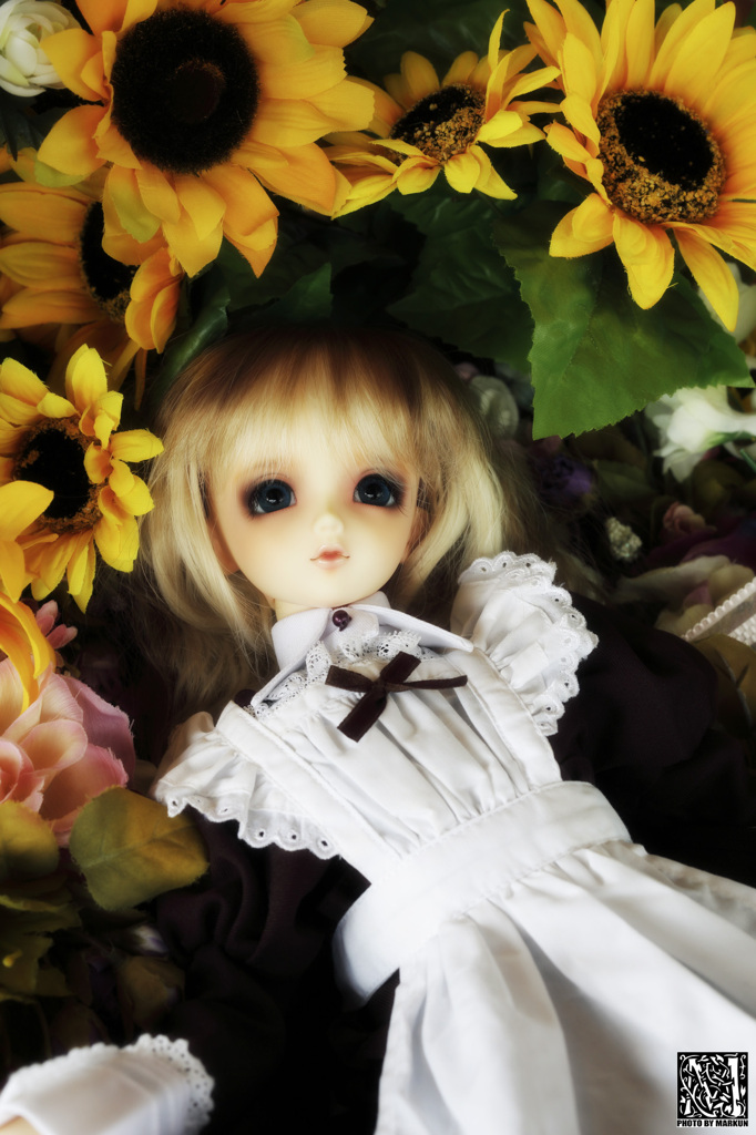 幻想の夏２０１２