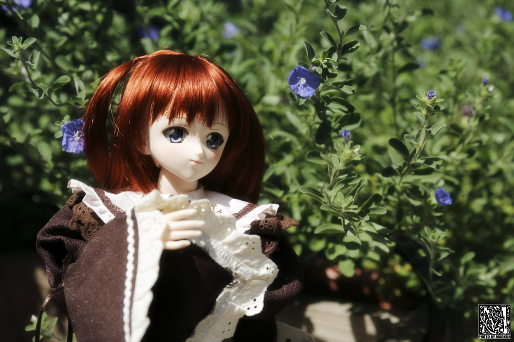 蒼き小さな花とナツキ
