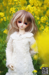 spring color -yellow- #2