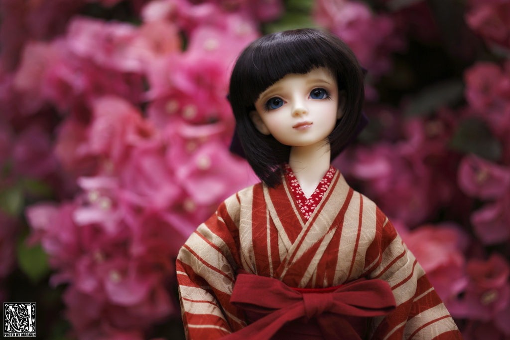 温室の花と華#1