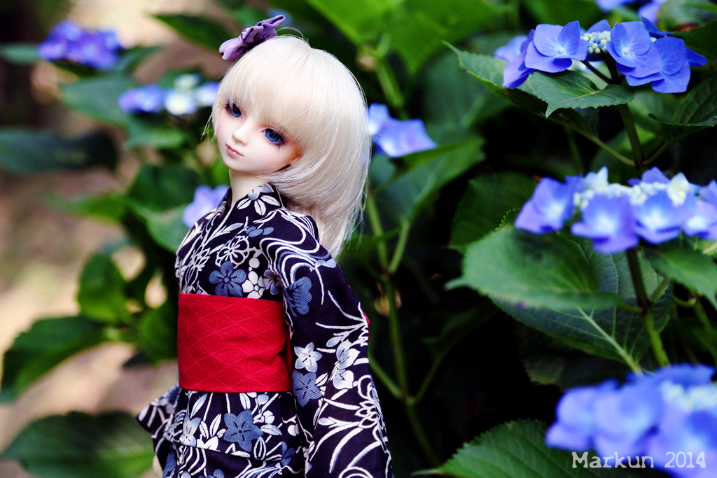 紫陽花と瑠月2014 side A