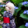 紫陽花と瑠月2014 side A