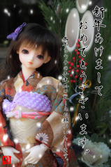 謹賀新年　２０１１