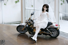 バイクと花嫁