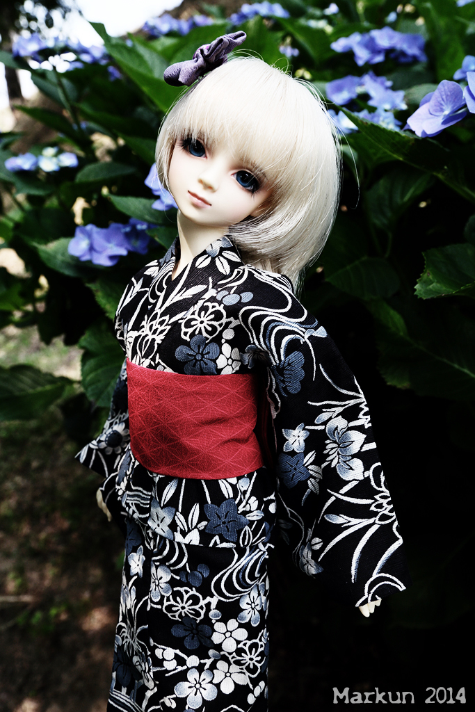 紫陽花と瑠月2014 side B