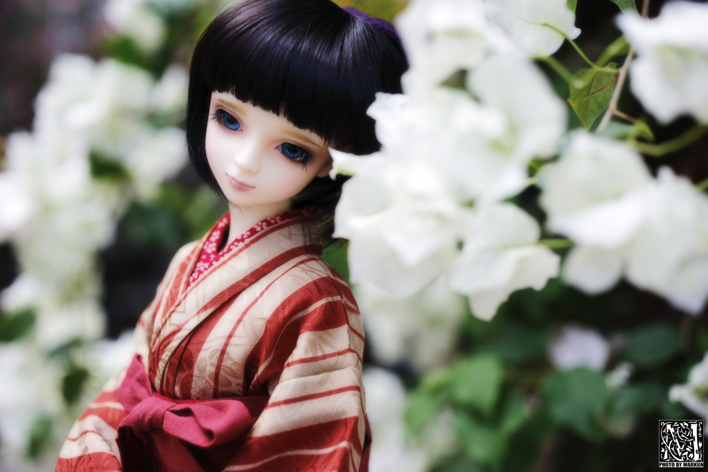 温室の花と華#3