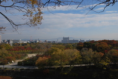 大阪城公園からの風景。
