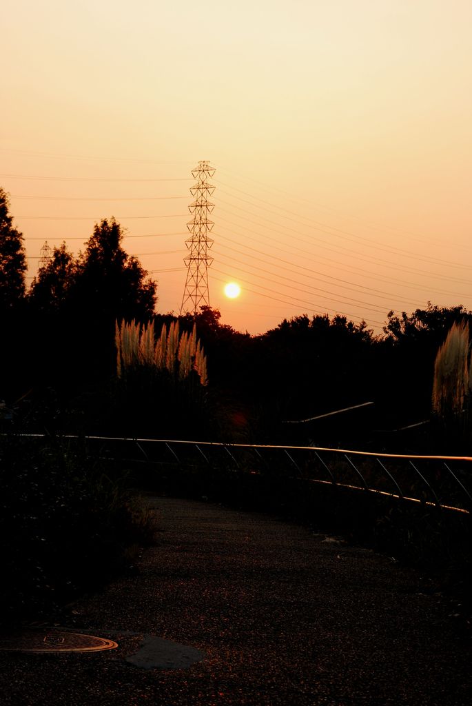 とある公園の夕日