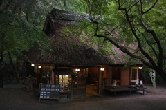 奈良公園の茶屋にて