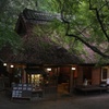 奈良公園の茶屋にて