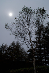 dark afternoon