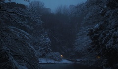 雪の三四郎池-1