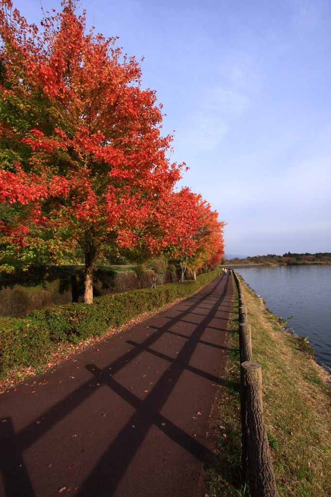 湖畔の紅葉