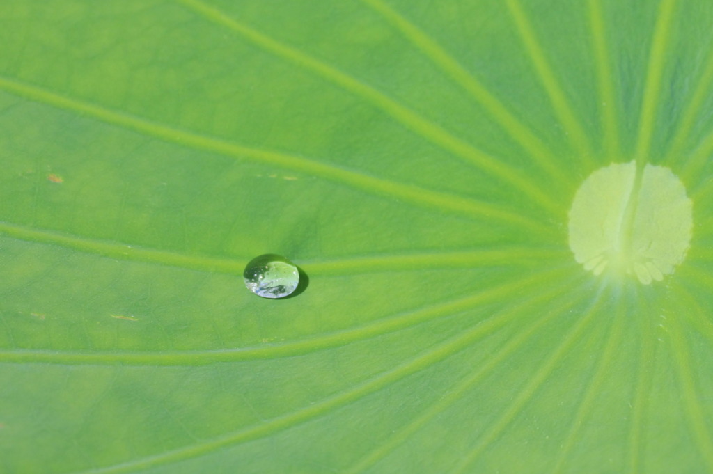 水玉に小さな青空