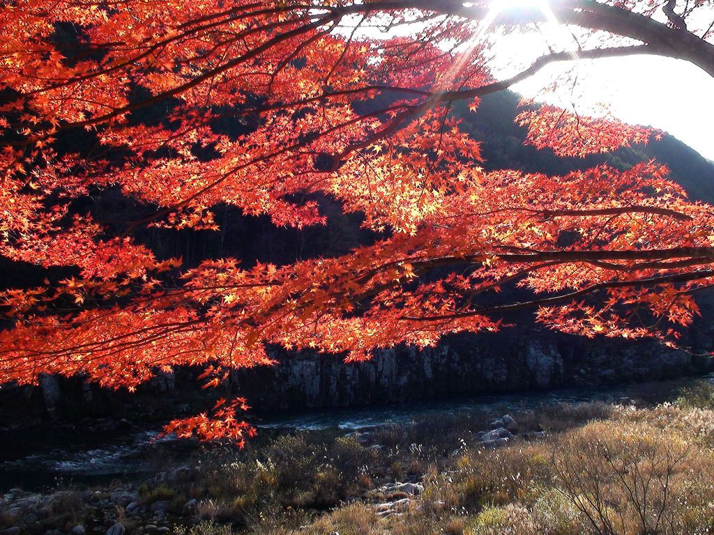 恵那峡の秋１
