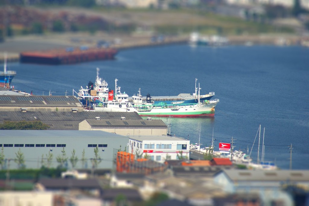 DSC00890-tiltshift