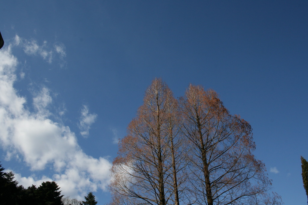 正月の空　その１