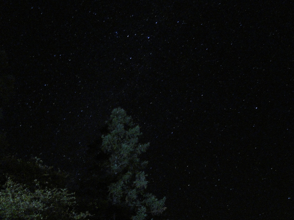 DSC00203