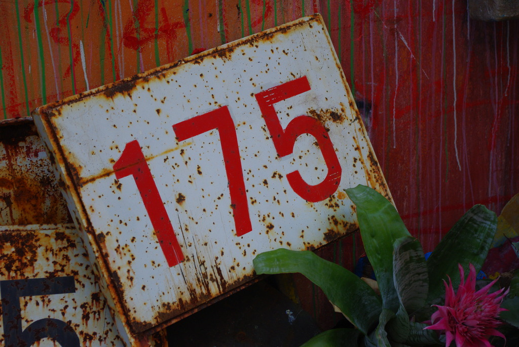 １７５