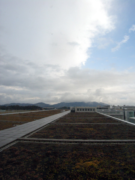 秋の空中庭園