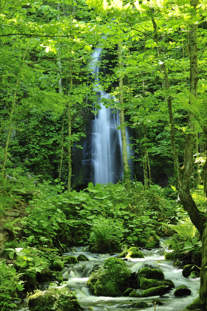 雲井の滝