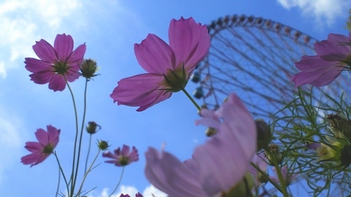 空に向かって