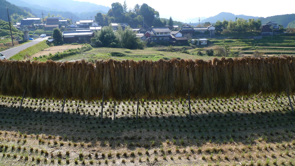赤坂天王山古墳