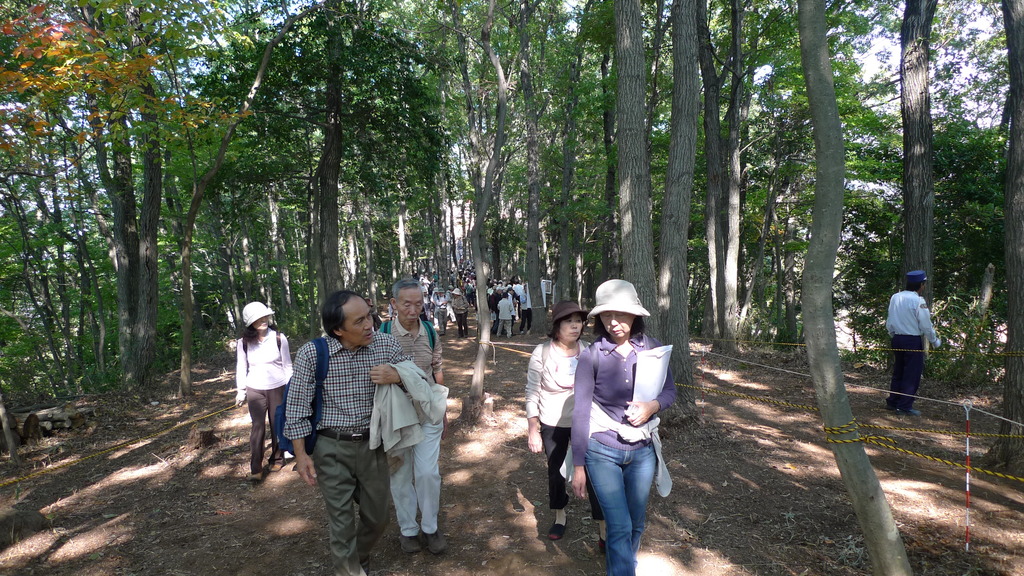 桜井茶臼山古墳