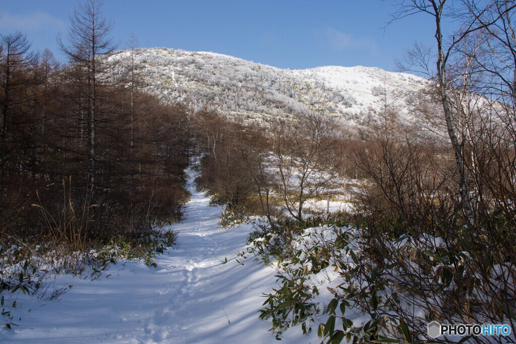 湯ノ丸山スノーシューハイク