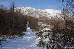 湯ノ丸山スノーシューハイク