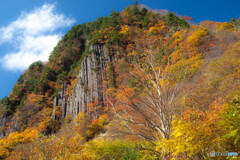 布岩山と白樺