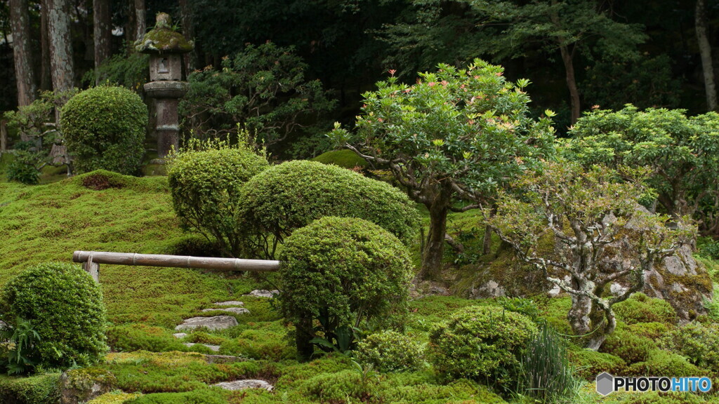 凝縮感