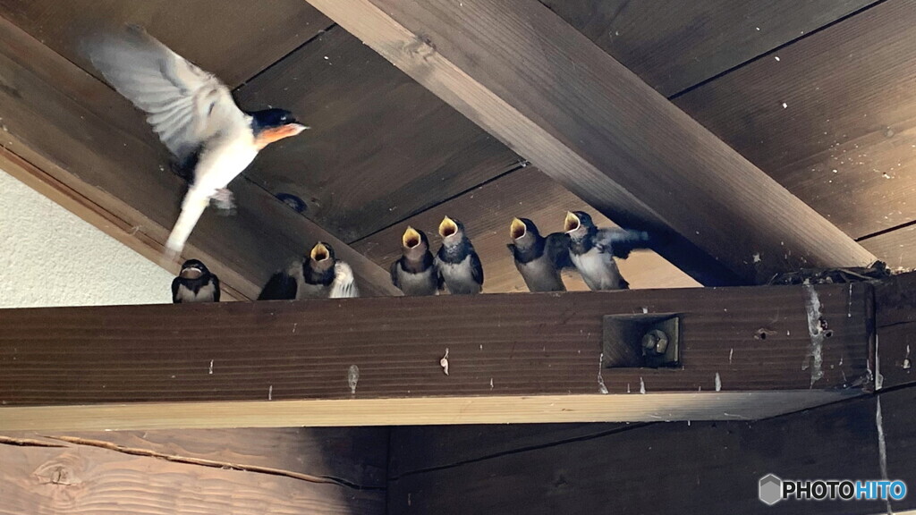 お腹すいた～！