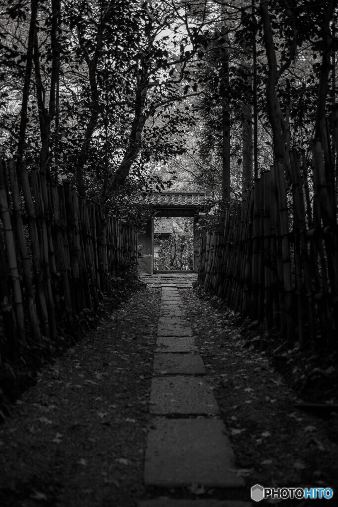 解脱への路