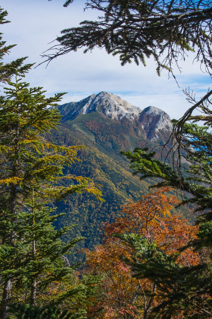 紅葉する甲斐駒ヶ岳