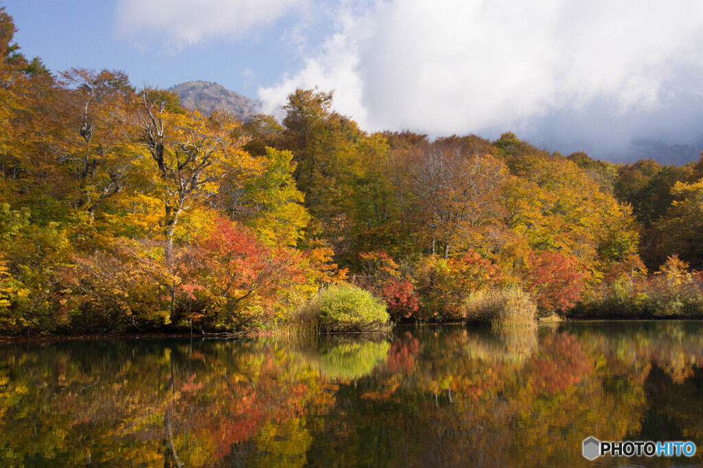 鎌池綾錦