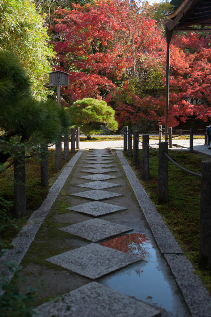 天授庵参道