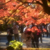 紅葉散歩番外編－鍛えた腕を見せましょう－