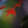 欠けたるも亦