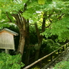 燃える前の静けさ