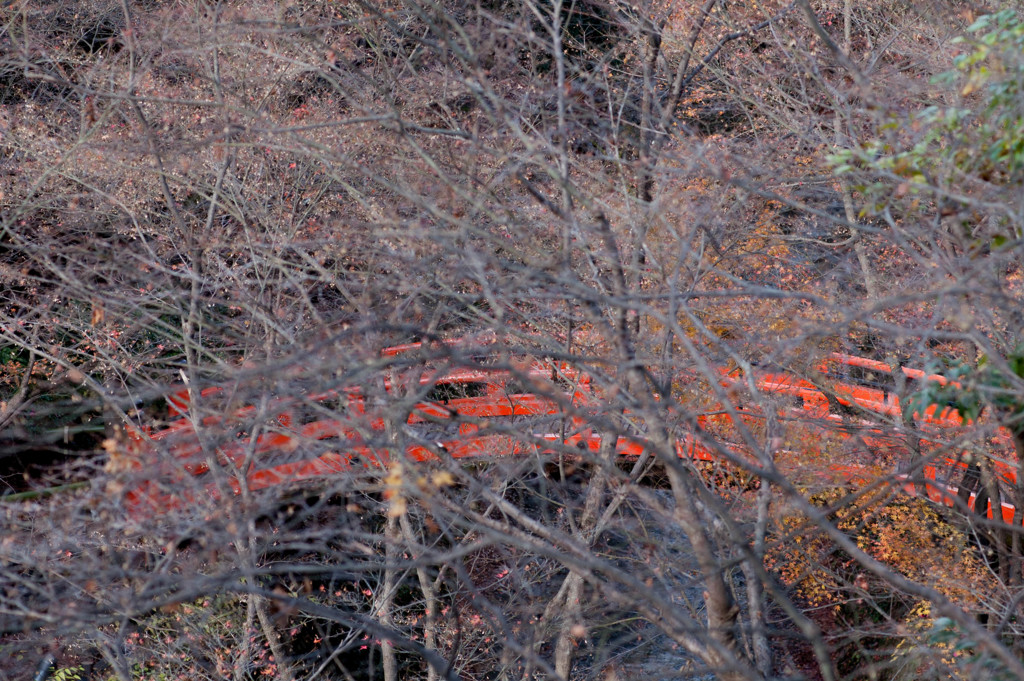 宴の後で