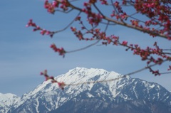 春浅き常念岳