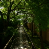 悟りの路